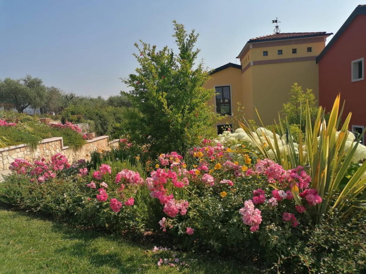 Agriturismo La Rondinella Lazise Dış mekan fotoğraf
